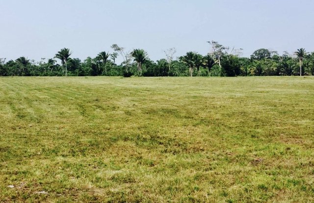 30 acres near a fresh water creek Independence , Belize